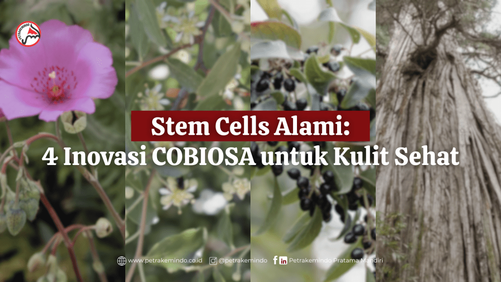 Stem Cells Alami: 4 Inovasi COBIOSA untuk Kulit&nbsp;Sehat