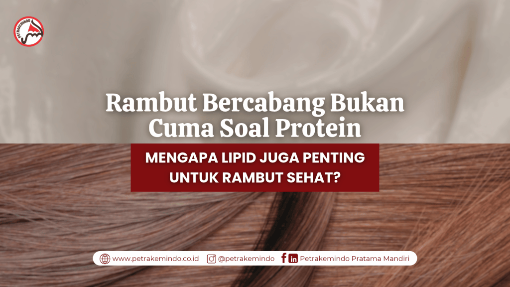 Rambut Bercabang Bukan Cuma Soal Protein: Mengapa Lipid Juga Penting untuk Rambut&nbsp;Sehat?